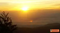 Pesona Golden Sunrise