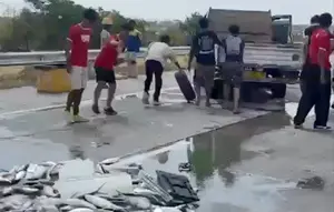 Ikan Berceceran di Tol Pemalang, Aksi Pemain Bola Ini Tidak Terduga