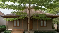 16 Jenis Pohon Hias Depan Rumah yang Bikin Suasana Seperti Vila di Kampung, Sejuk dan Asri
