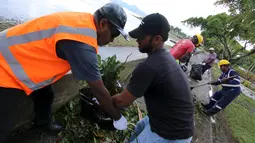Petugas dinas kebersihkan membersihkan puing-puing akibat terjangan badai paling kuat yang menghantam Ibu kota Fiji, Suva, Senin (22/2). Badai Winston memporak-prandakan negara kepulauan Fiji hingga menewaskan sedikinya 10 orang. (REUTERS/Steven Saphore)