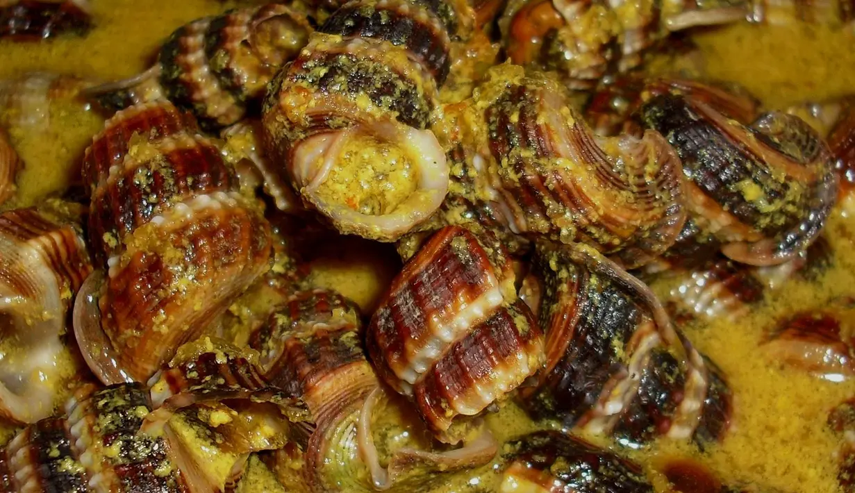 Gulai siput ini merupakan makanan khas Tanjungpinang, Kepuluan Riau yang hanya bisa dijumpai di bulan Ramadan. Menu yang dihidangkan sebagai lauk saat buka puasa ini banyak digemari oleh masyarakat setempat karena rasanya yang gurih dan lezat. (Istimewa)