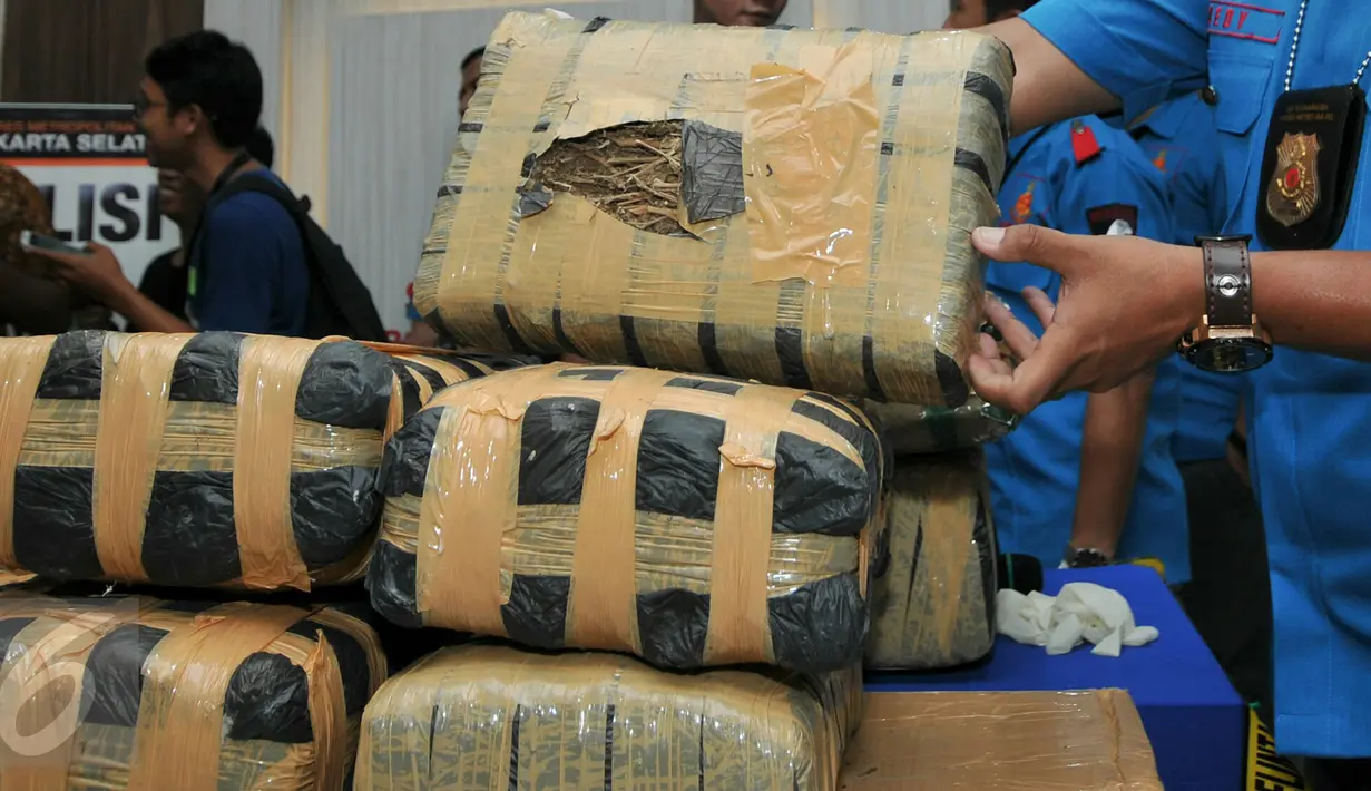 Ganja kering seberat 219 kg diperlihatkan petugas Polres Jaksel, Jakarta, Kamis (3/12/2015). Jika dikonversi ke dalam rupiah, barang bukti ganja seberat 219 kilogram itu bernilai sekitar Rp 846 juta. (Liputan6.com/Yoppy Renato)