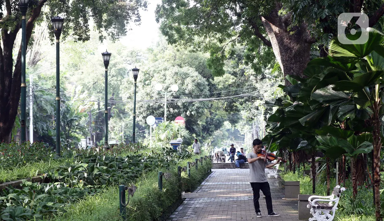 Seorang pria bermain biola di ruang terbuka hijau Taman Suropati, Jakarta, Sabtu (23/10/2021). Selama berada di ruang terbuka hijau, pengunjung diwajibkan mematuhi protokol kesehatan, seperti mencuci tangan, mengenakan masker dan menghindari kerumunan. (Liputan6.com/Helmi Fithriansyah)