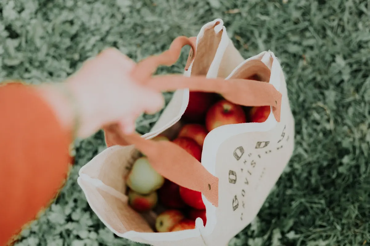 Membawa kantung belanja sendiri saat belanja/unsplash Priscilla