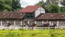 Kejuaraan ini tidak hanya menjadi ajang kompetisi olahraga, tetapi juga daya tarik wisata olahraga (sport tourism) yang menampilkan perpaduan budaya dan hiburan. Tampak dalam foto, joki-joki berkompetisi dalam kejuaraan balap kuda nasional tahunan yang memperebutkan trofi Sultan Hamengku Buwono X, di lintasan Sultan Agung, Bantul, Yogyakarta, pada Minggu 9 November 2025. (DEVI RAHMAN/AFP)