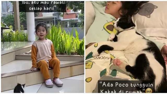 2 Tahun Rawat Kucing Jalanan dengan Tulus, Cerita Gadis Kecil Ini Bikin Salut