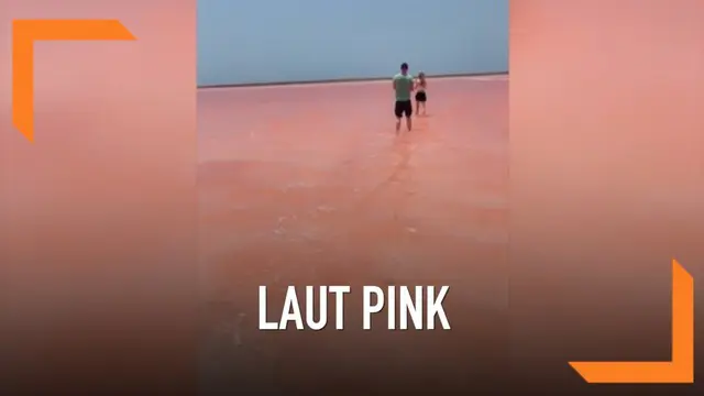 Fenomena unik terjadi di Kolombia. Di sana terdapat laut berwarna merah muda atau pink yang menarik para wisatawan maupun peneliti. Diduga, warna pink tersebut disebabkan oleh mikroba pecinta garam.