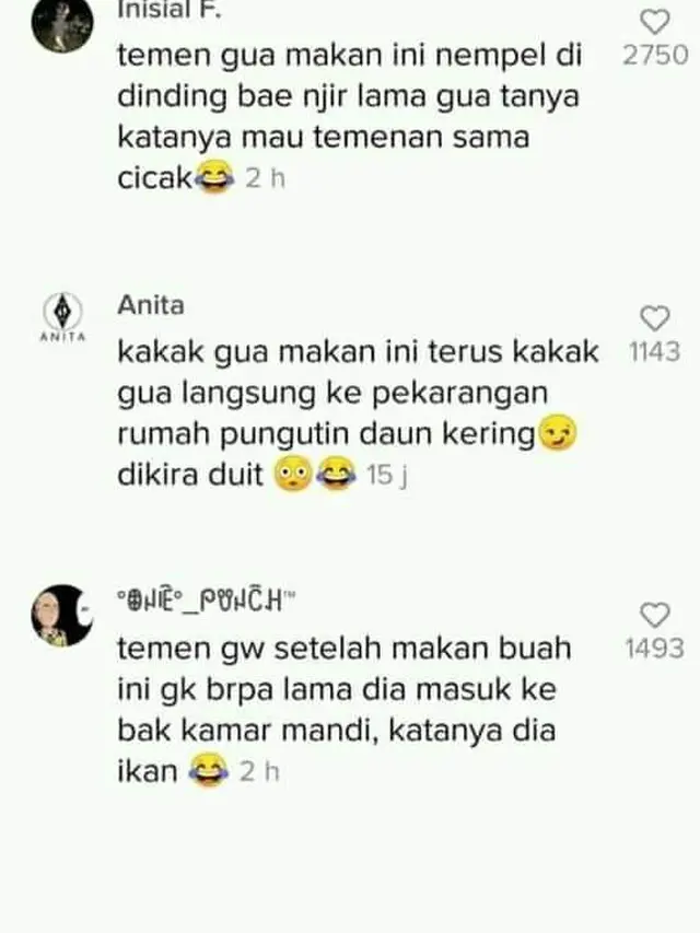 6 Curhatan Netizen Usai Makan Buah Kecubung, Jangan Ditiru