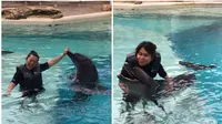 Intim dengan lumba-lumba di Dolphin Island Resorts World Sentosa, Singapura (Liputan6.com/Pool/Istimewa)