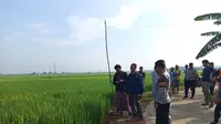 Nahas! Niat Berswa Foto di Sawah, Mahasiswa Ini Malah Tewas Tersengat Jebakan Tikus
