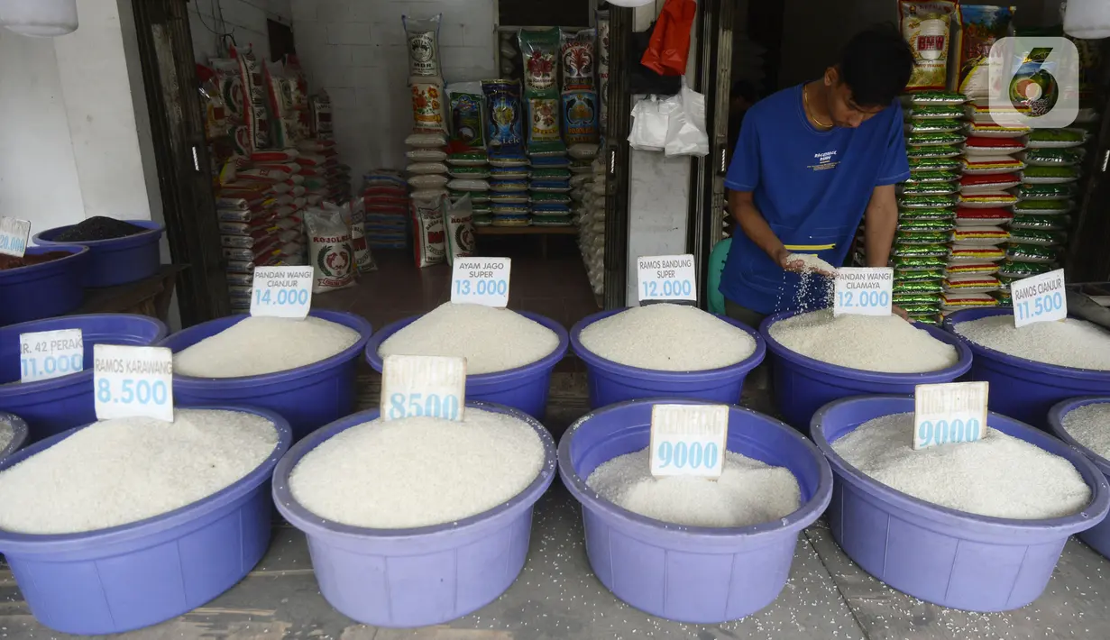 Pedagang memeriksa beras yang dijual di pinggir Jalan Raya Pamulang, Tangerang Selatan, Banten, Jumat (11/12/2020). Jelang Natal dan Tahun Baru 2021, harga beras dipasaran masih normal tidak ada kenaikan. (merdeka.com/Dwi Narwoko)