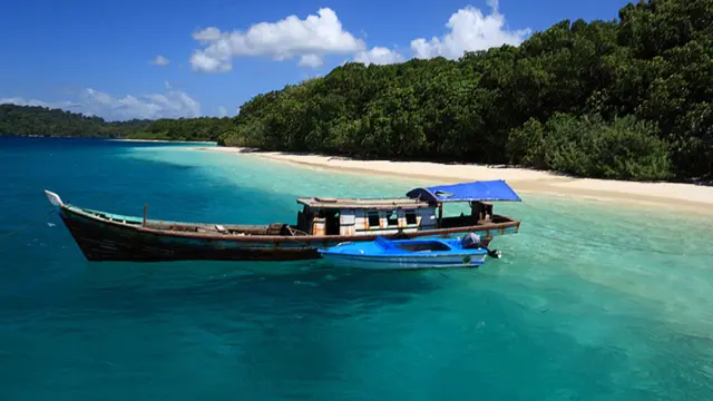 [Bintang Pulau Peucang