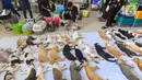 Sebelum disterilisasi, kucing-kucing lokal ini dibius terlebih dahulu. (merdeka.com/Arie Basuki)