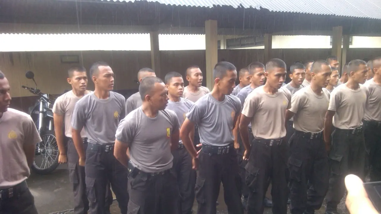 taufik