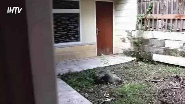 Dinding Lusuh dan Kursi Kayu Pernah Jadi Saksi, Begini Sudut Rumah Masa Kecil Ariel Noah sebelum Sesukses Sekarang