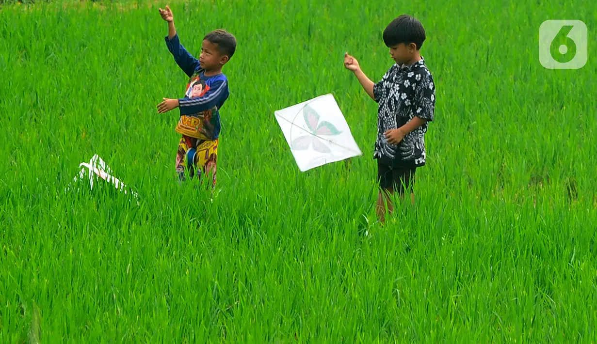Anak-anak bermain layang-layang pada areal sawah di kawasan Sukamakmur, Bogor, Jumat (15/07/2022). Mereka menghabiskan waktu bermain saat mengisi waktu libur panjang  sekolah.
(merdeka.com/Arie Basuki)