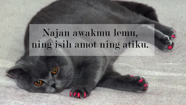 Kata-kata cinta lucu bahasa Jawa