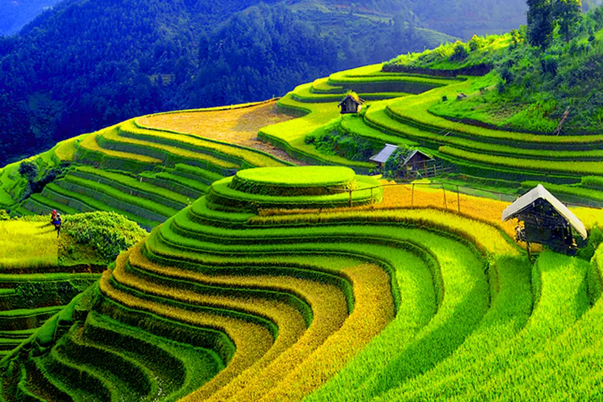Ba Be, Vietnam