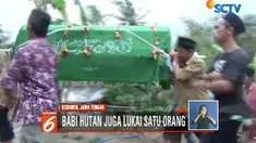 Seekor babi hutan di Kebumen, Jawa Tengah, mengamuk dan menyerang warga. Dua orang warga menjadi korban, satu di antaranya meninggal dunia.