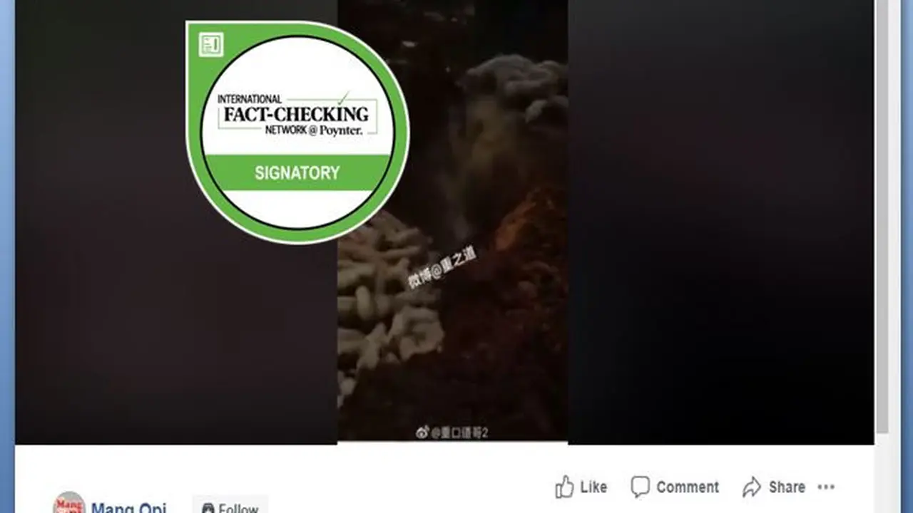 [Cek Fakta] Tiongkok Memusnahkan Babi Besar-Besaran, Benarkah?