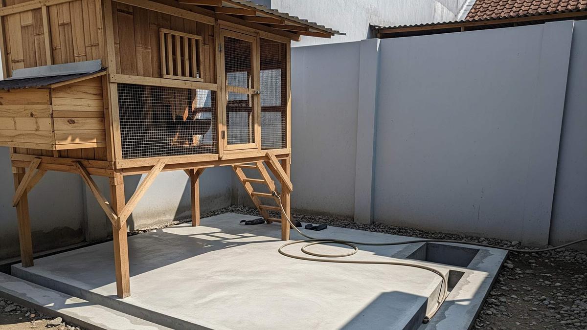 7 Kandang Ayam Lantai Semen Minimalis Mudah Dibersihkan dan Anti Bau