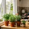 8 Tanaman yang Bisa Membantu Jauhkan Lalat dari Dapur, Mudah Dirawat