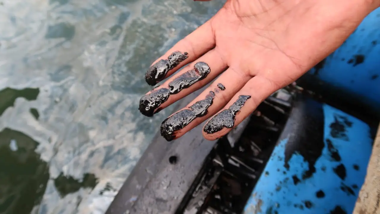 Pencemaran oli terjadi di Perairan Bansring Underwater Banyuwangi (Istimewa)