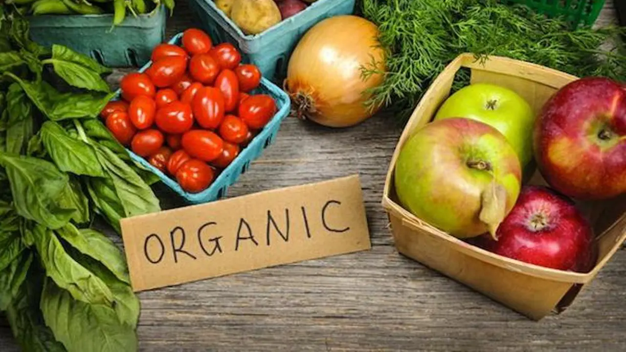 Hari Bumi, Ini 10 Makanan Organik yang Patut Kamu Coba!