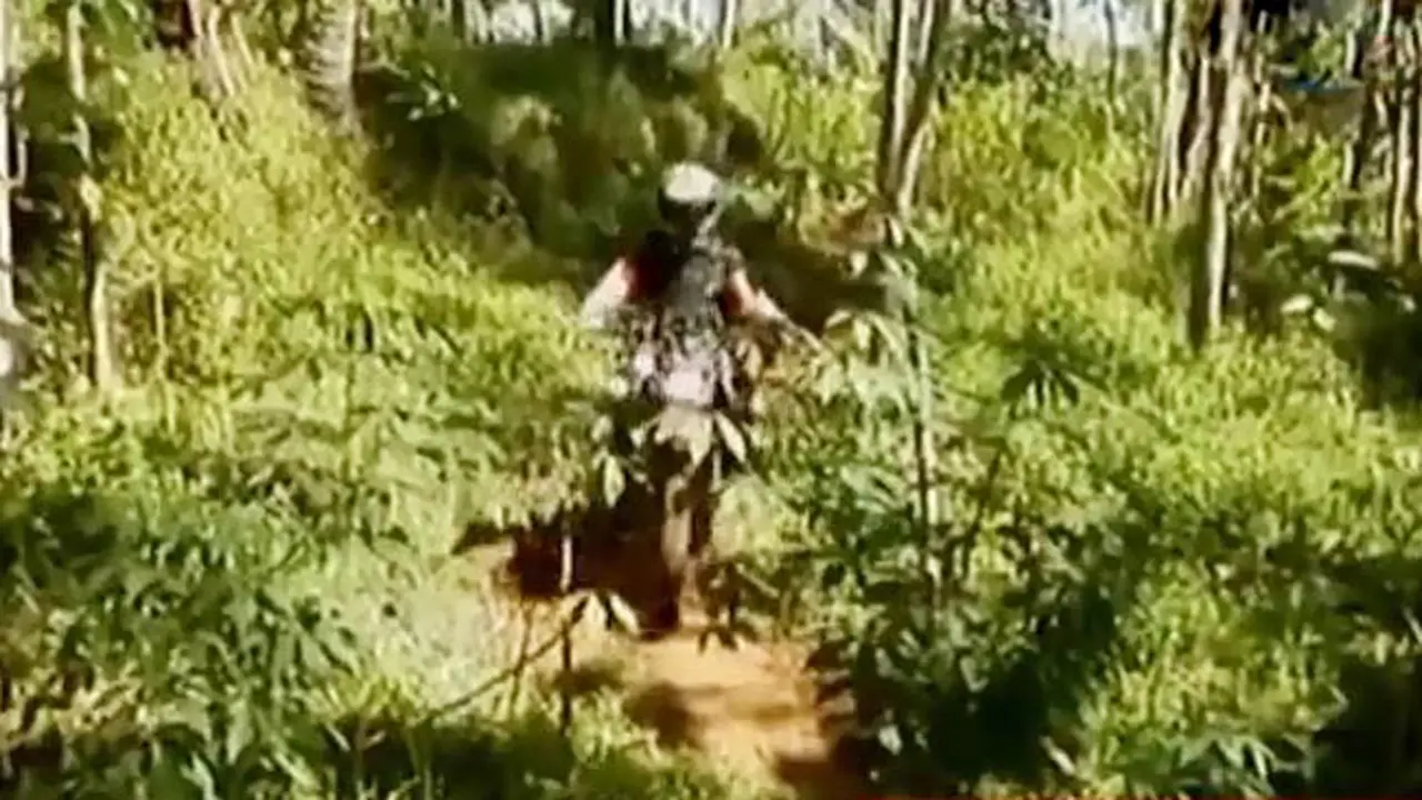 Segmen 7: Menaklukkan Bukit Menoreh hingga Festival Budaya Betawi