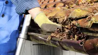Tips Merawat Talang Agar Tak Bocor dan Tersumbat