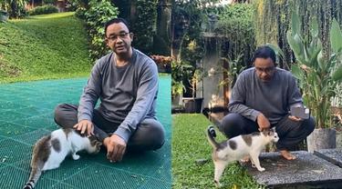 Cerita Anies Baswedan Mengadopsi Kucing Berkaki Tiga