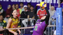 Bintang Jakarta Pertamina Enduro, Megawati Hangestri mencoba memberikan bola ke rekan satu timnya saat berhadapan dengan Gresik Phonska Plus pada laga seri lima putaran kedua di GOR Candradimuka Padepokan Voli Jenderal Polisi Kunarto, Sentul Bogor, Minggu (22/2/2026) malam WIB. (Bola.com/Abdul Aziz)