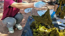 Gambar yang dirilis pada 26 November 2019, dokter hewan memegang sepotong pakaian dalam dari perut rusa mati di Taman Nasional Khun Sathan, Thailand. Tujuh kg sampah plastik dan pakaian dalam ditemukan di perut rusa yang diduga mati beberapa hari lalu. (HO/Office of Protected Area Region 13/AFP)