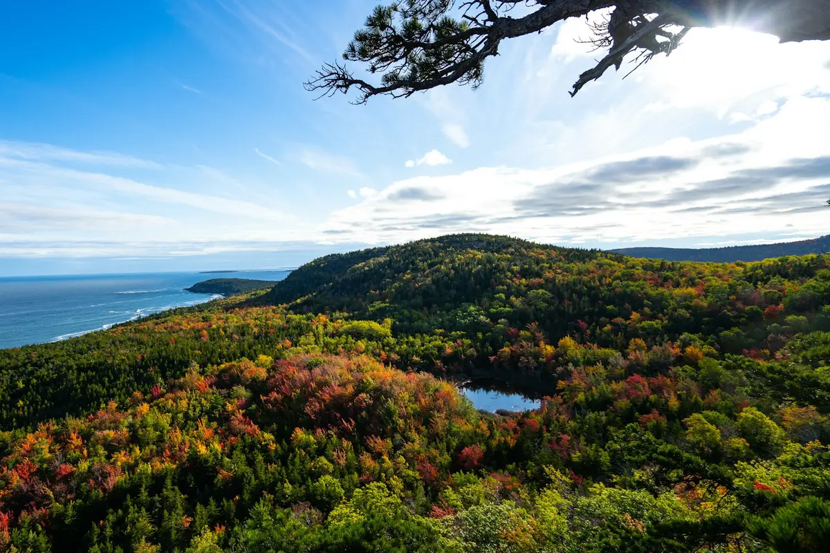 Acadia