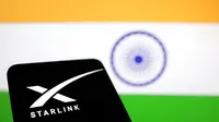 Starlink India: 'Dummy' Price Revealed, Commercial Services Hampered by Regulation?