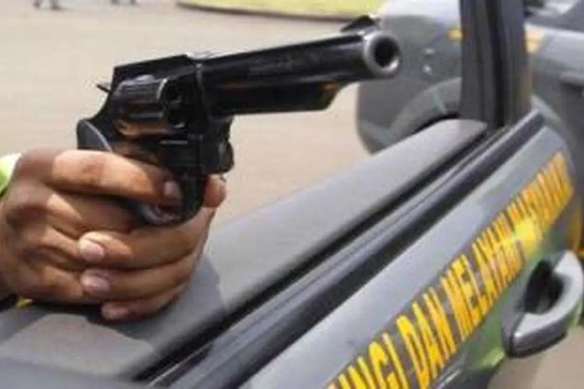 pistol