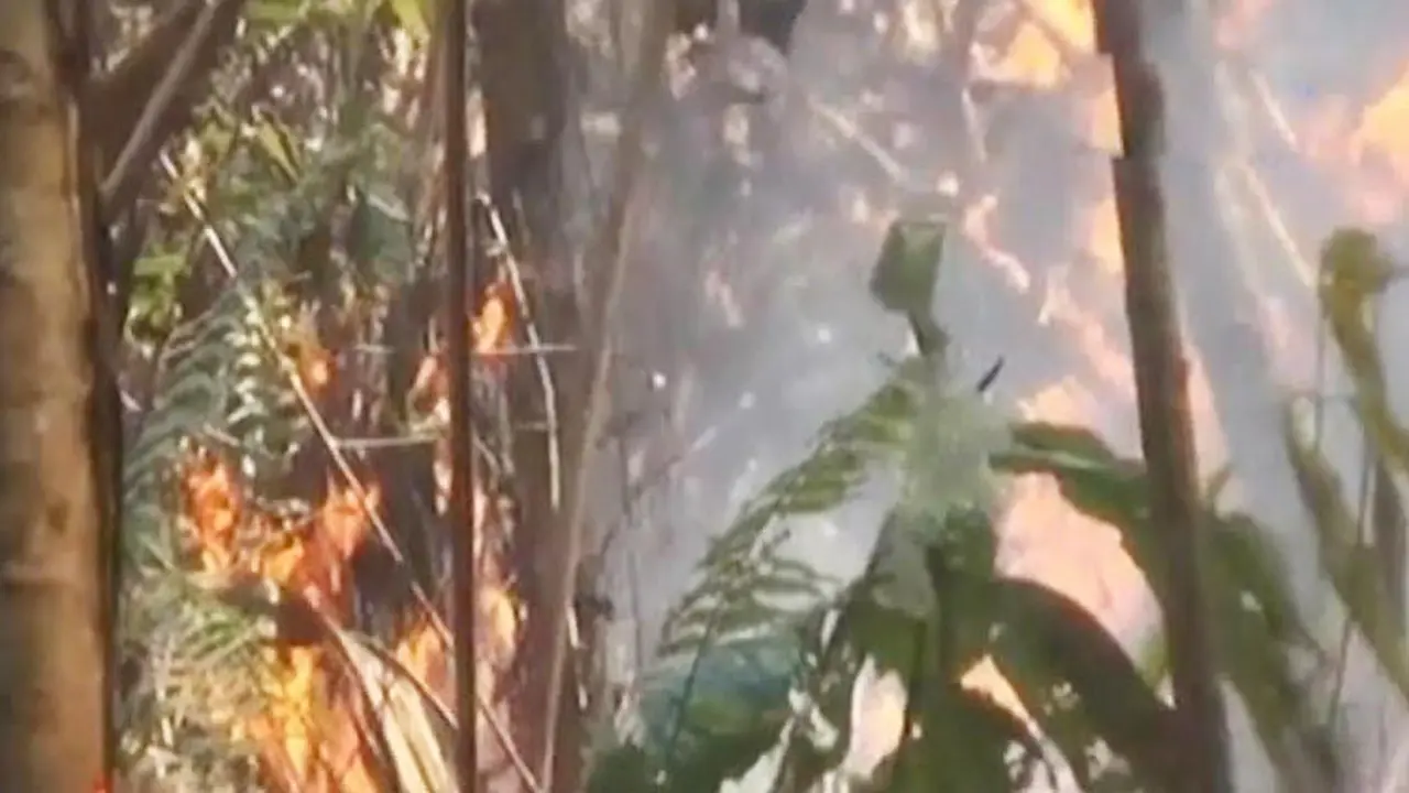 20151015-Hutan Terbakar-Kaltim