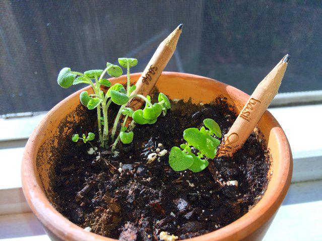 Photo copyright Avaxnews.net