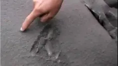Hujan abu vulkanik Gunung Bromo turun semakin pekat hingga petugas Satpol PP Klaten menertibkan lapak PKL di kawasan hutan kota.