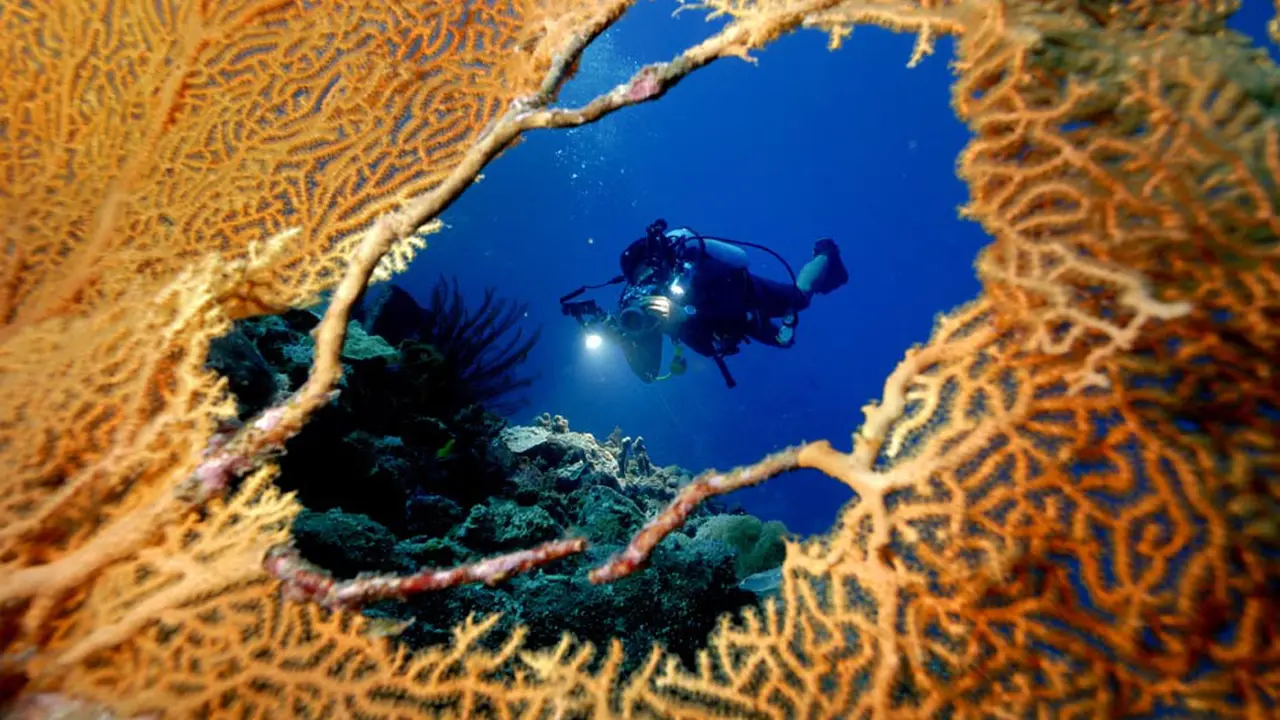 7 Tempat Terbaik untuk Mencicip Eksotisme Bawah Laut Indonesia