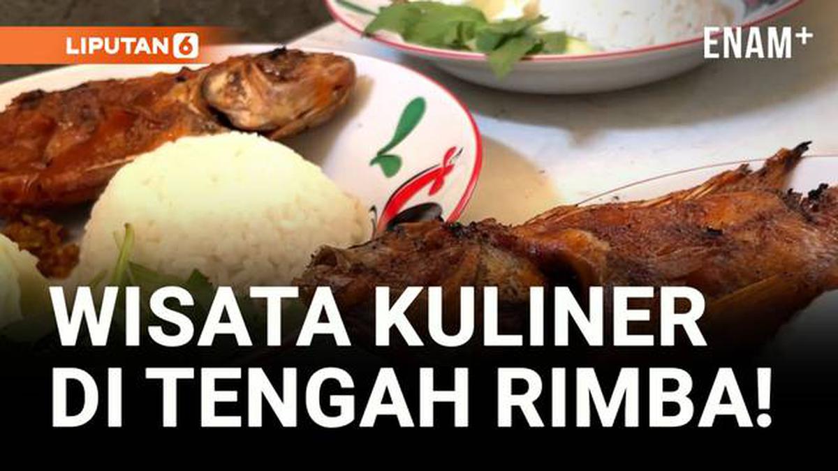 VIDEO: Menjelajahi Ragam Sajian Menu Ikan di Tengah Rimba