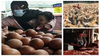 Badan Pangan Nasional menerbitkan aturan berisi harga acuan jagung, telur ayam hingga daging ayam.