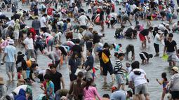 Sejumlah pengunjung berdesakan untuk berburu kerang di pantai kawasan Yokohama, dekat Tokyo, Senin (30/4). Ribuan orang membanjiri pantai selama Golden Week atau periode liburan di Jepang pada akhir April hingga awal Mei. (AP/Koji Sasahara)