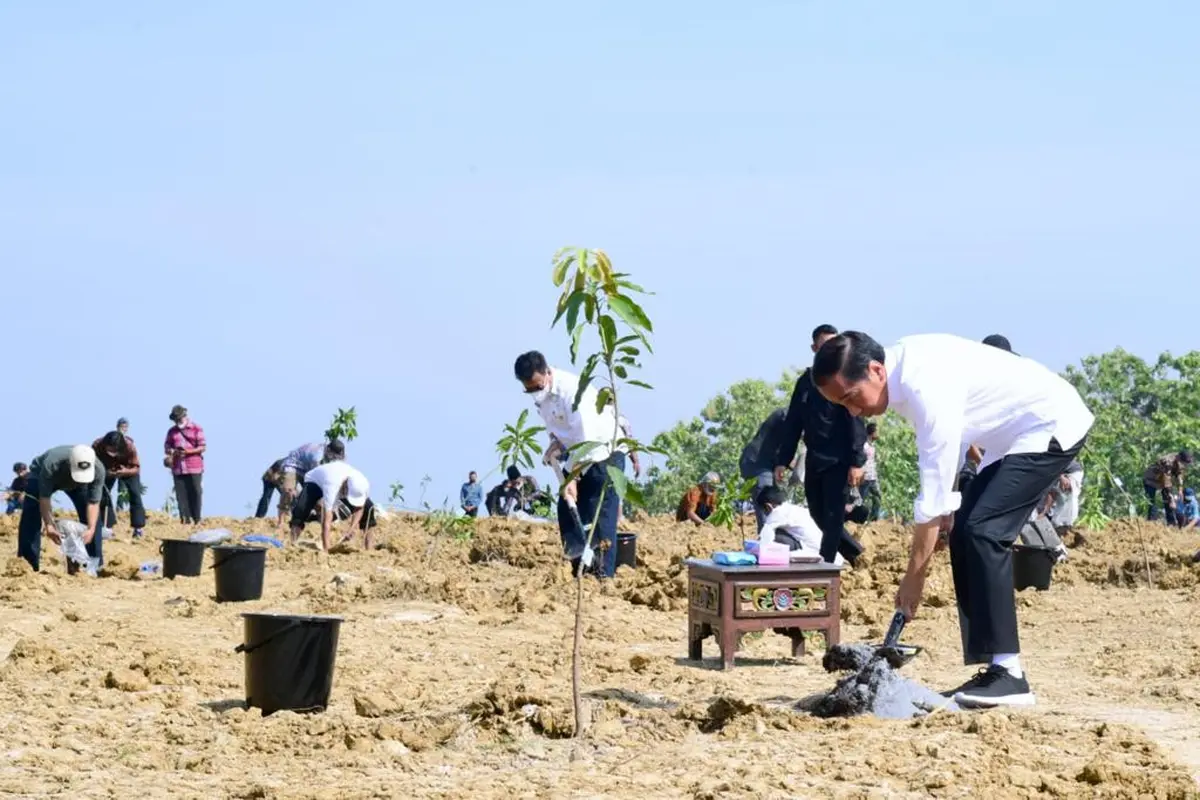 Presiden Joko Widodo atau Jokowi meluncurkan food estate atau lumbung pangan di Kabupaten Gresik Jawa Timur, Senin (22/8/2022)