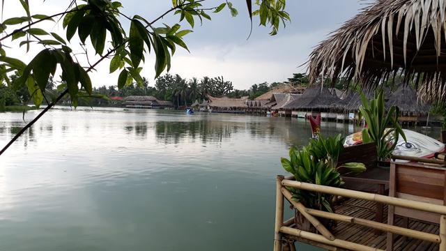 Nyanyian Pagi Burung Rawa yang Saling Jatuh Cinta