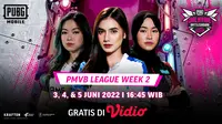 Link Live Streaming PMVB Season 1 Pekan Kedua di Vidio, 3-5 Juni 2022. (Sumber : dok. vidio.com)