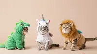 8 Model Baju Kucing Karakter Hewan untuk Anabul Kesayangan, Lucu Maksimal