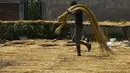 Seorang pekerja mengeringkan rotan untuk diekspor di sebuah bengkel di Banda Aceh  (16/10/2019). Setiap tahunnya, 	Aceh mampu memproduksi sekitar ratusan ribu ton rotan. (AFP Photo/Chaideer Mahyuddin)