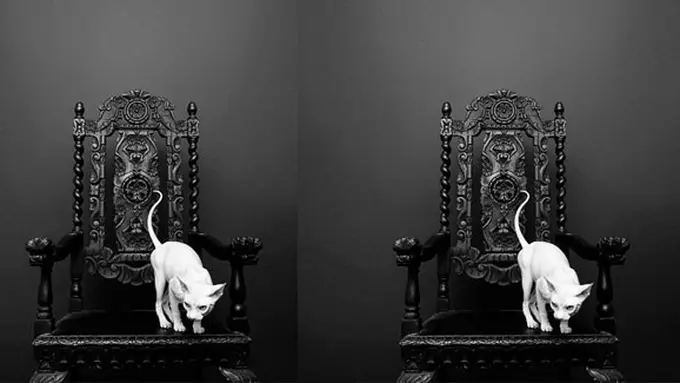 (C) murraymitchell.com