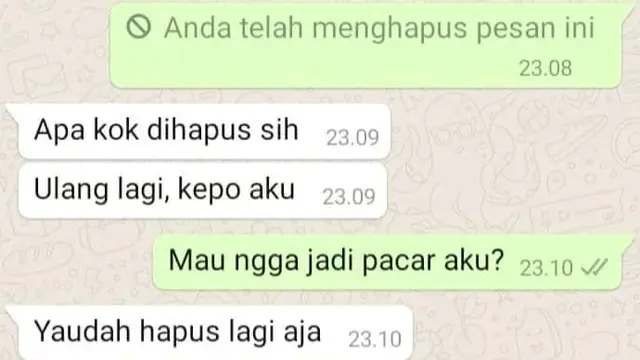 5 Chat Dihapus Ini Bikin Penasaran, Ujungnya Malah Bikin Kesal